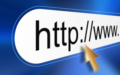 New NVvL website operational