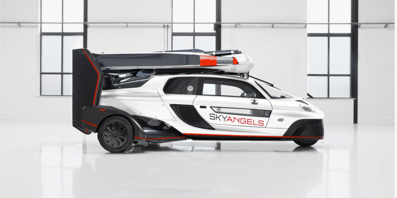 palv-1(1)